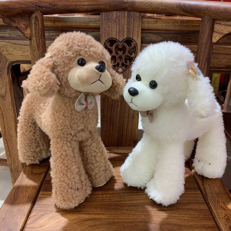 Chó bông Poodle đeo nơ