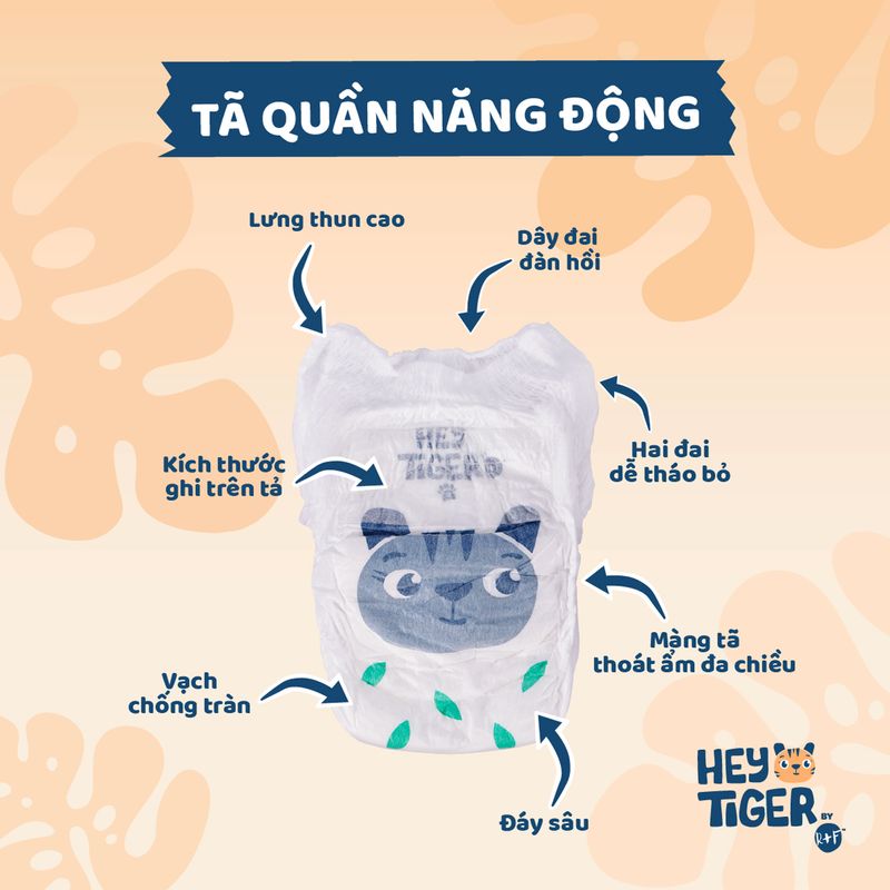bim-ta-quan-hey-tiger-1