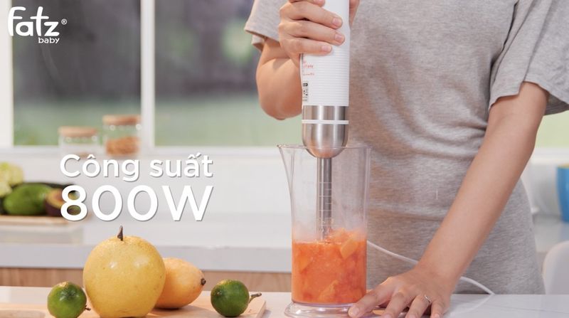 Máy xay cầm tay Fatzbaby FAST8.1 800W FB5350TL