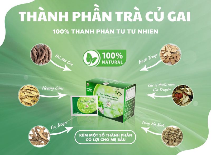 trà thảo dược an thái phương