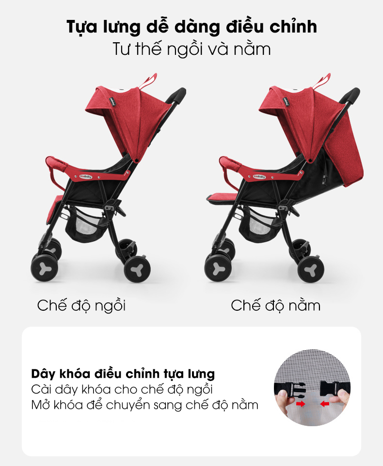 xe-day-seebaby-do