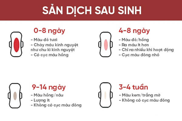 Sản dịch có thể tiết ra trong 1 - 1,5 tháng sau sinh 