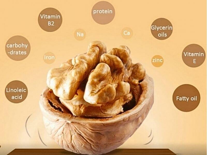 Lợi ích từ dầu óc chó