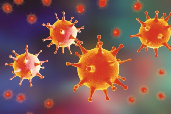 Virus có thể là nguyên nhân gây sốt cho bé