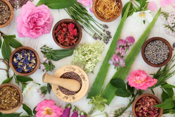  Dung dịch vệ sinh với bảng thành phần tự nhiên lành tính