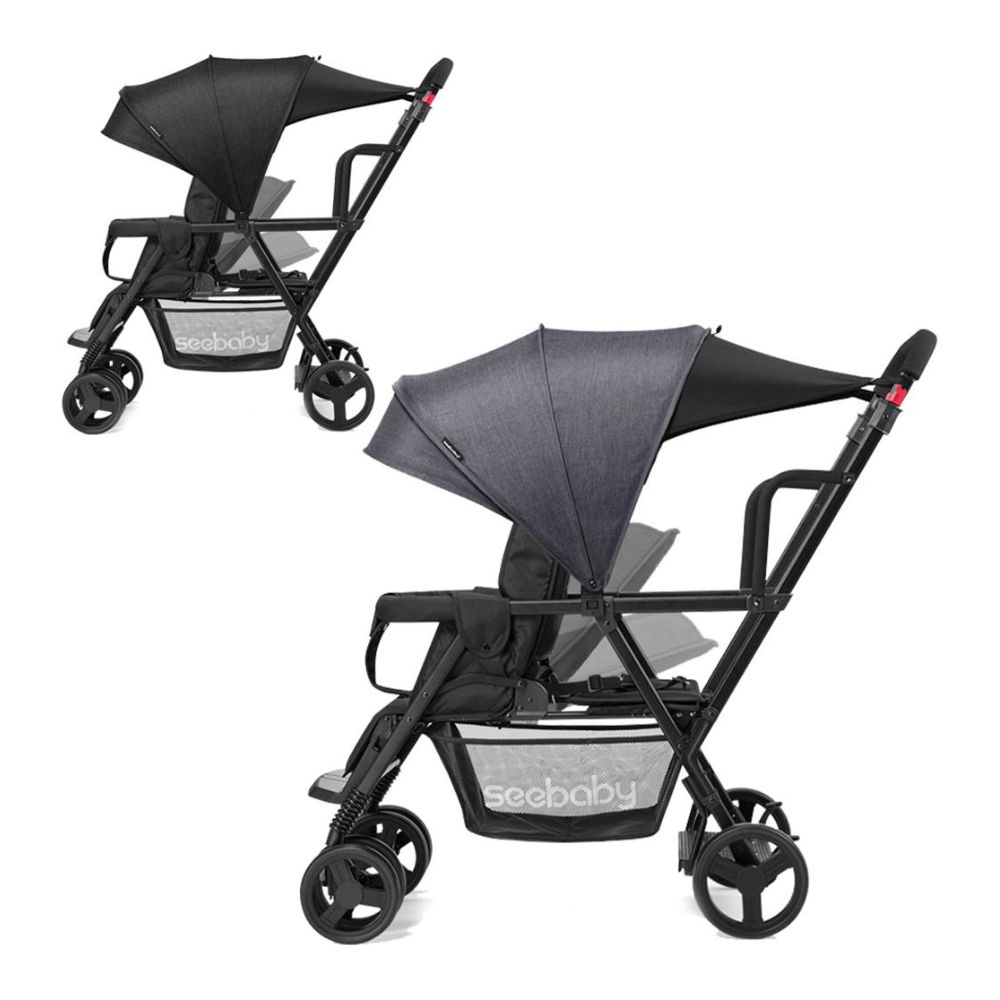Xe đẩy Seebaby T12