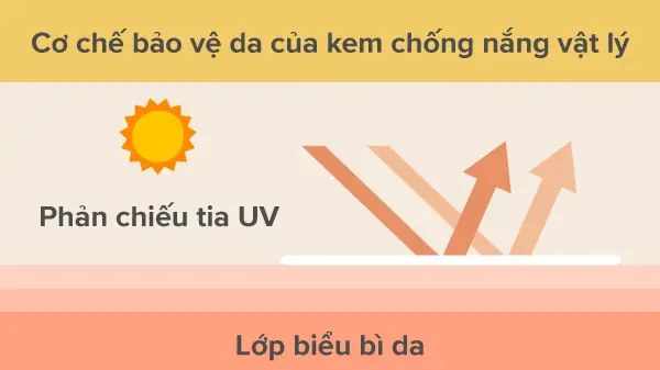 Cơ chế phản chiếu tia UV của kem chống nắng vật lý