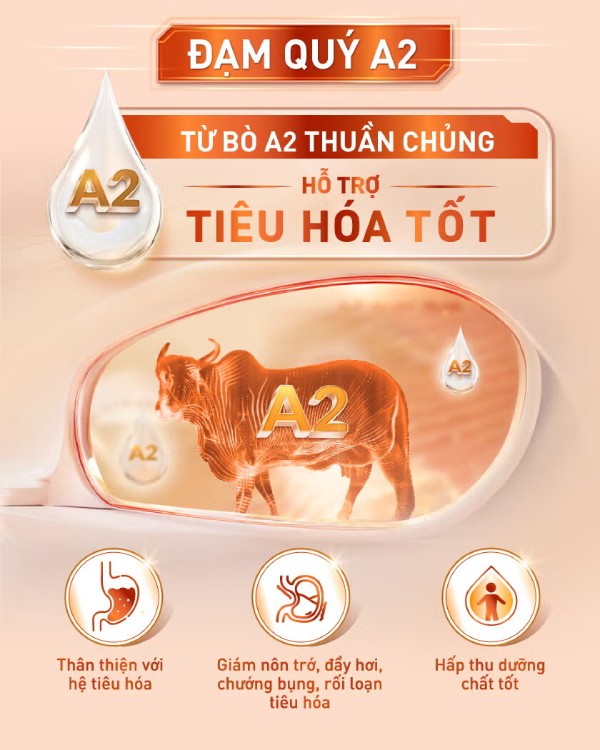 Thành phần đạm quý A2