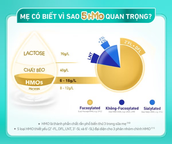 Tầm quan trọng của phức hợp 5-HMO