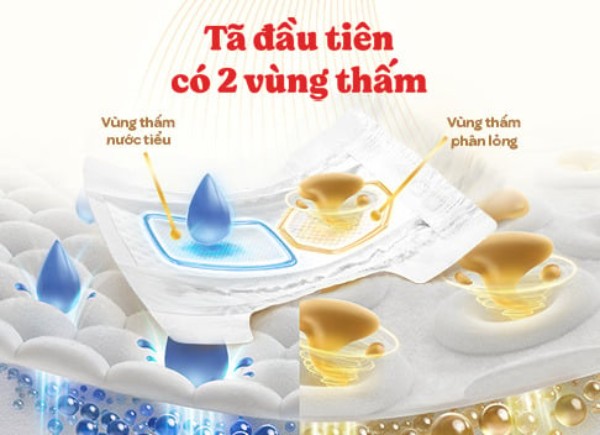 Thiết kế tã với 2 vùng thấm hút riêng biệt
