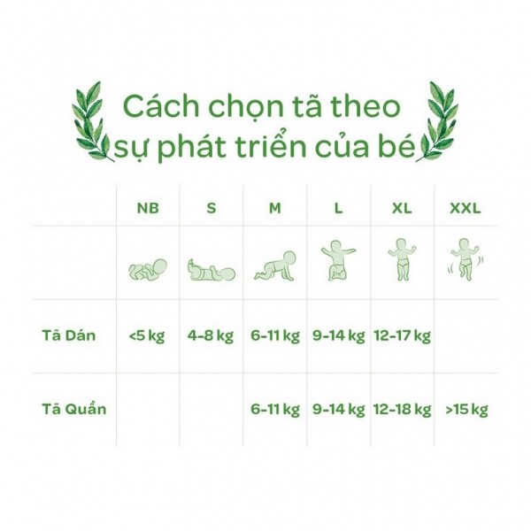 Hướng dẫn chọn tã bỉm theo sự phát triển thể trạng của bé